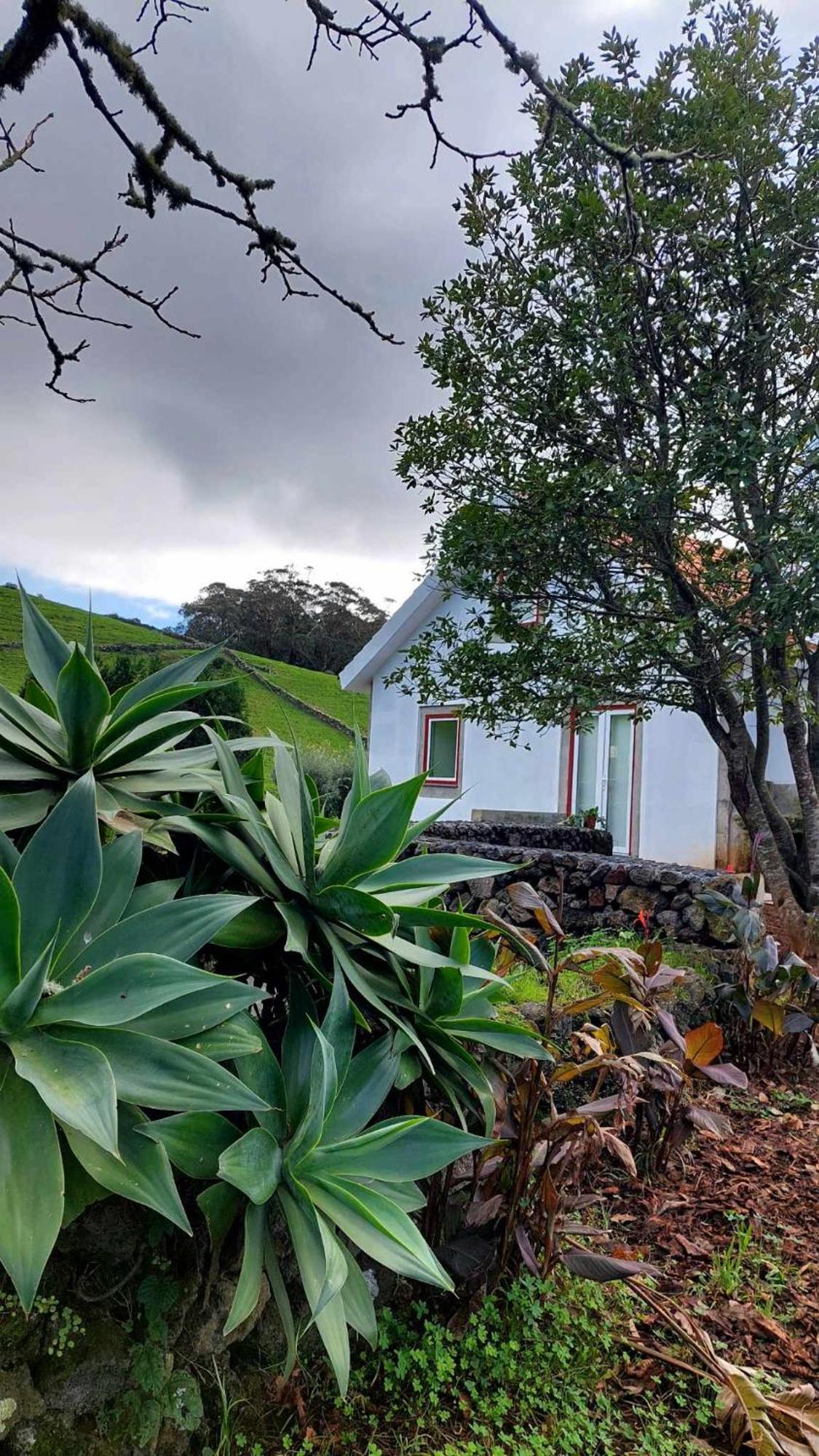 Casa De Campo Franco Da Serra Angra do Heroísmo Buitenkant foto